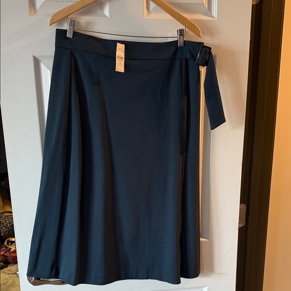 Ann Taylor Dark Blue Midi Skirt